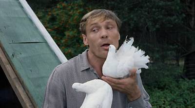 изображение,скриншот к Любовь и голуби (1984) MP4