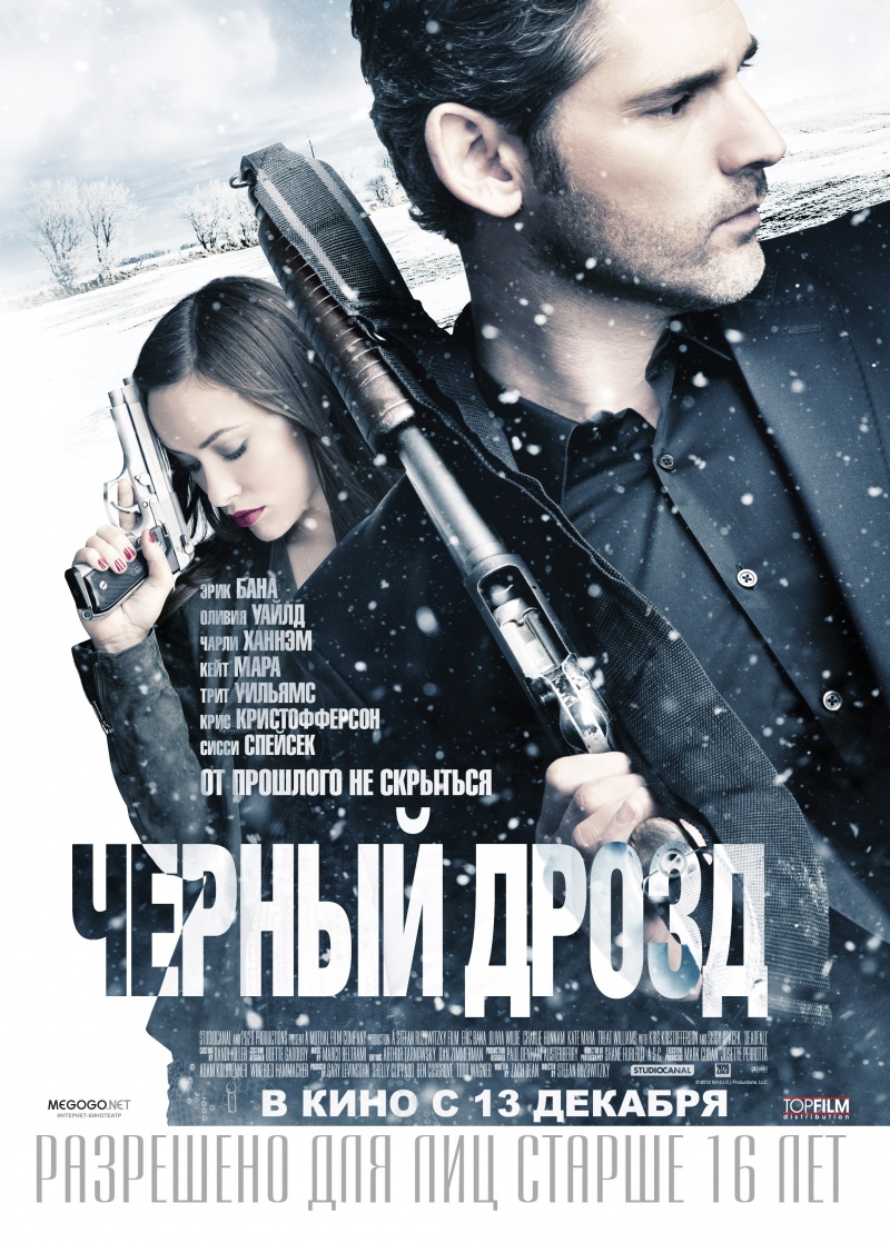 Черный дрозд / Deadfall (2012) MP4 постер